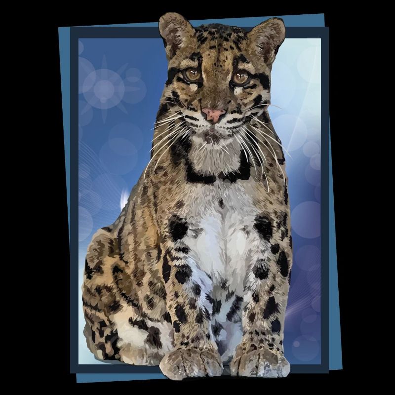 Clouded leopard