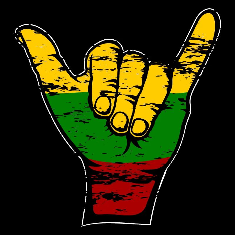 Drapeau de la Lituanie Symbole de surf utilisé