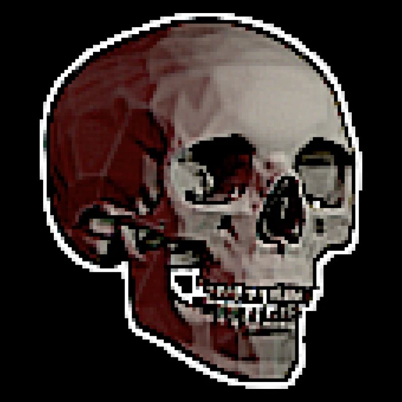 PIXEL SKULL