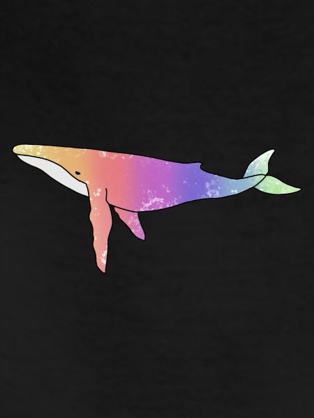 Whale Rainbow Version