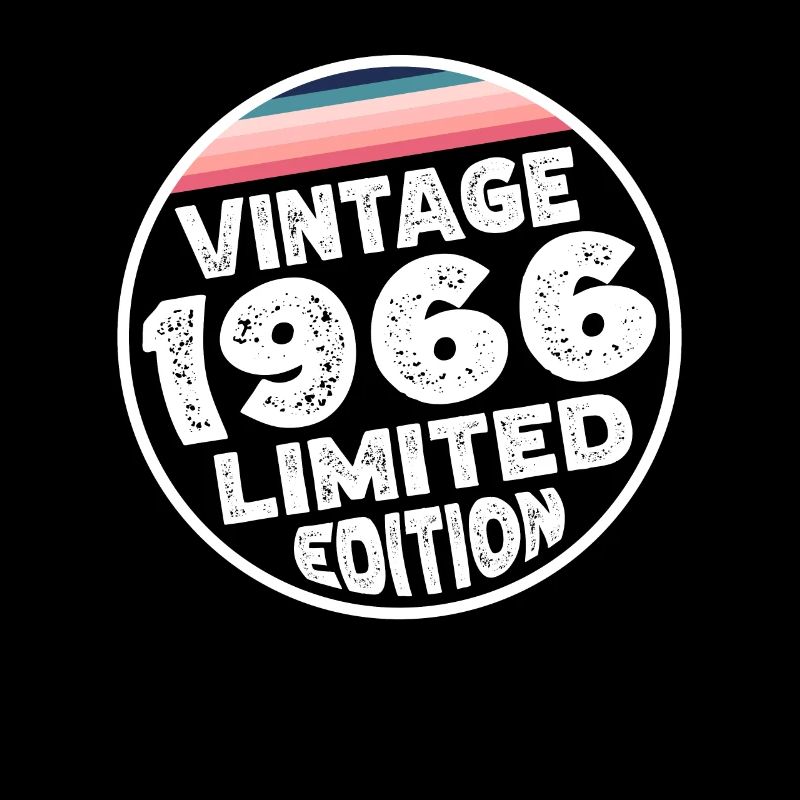 Limited Edition since 1966 Geburtstag Geschenk