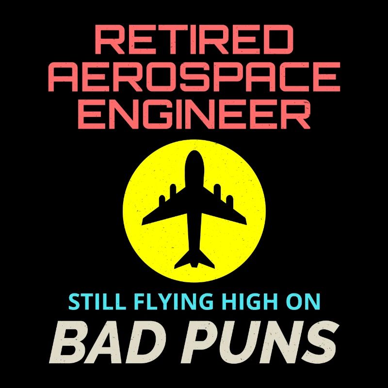 Retired Aerospace Engineer Flight Mechanics Plane