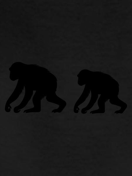 monkeys