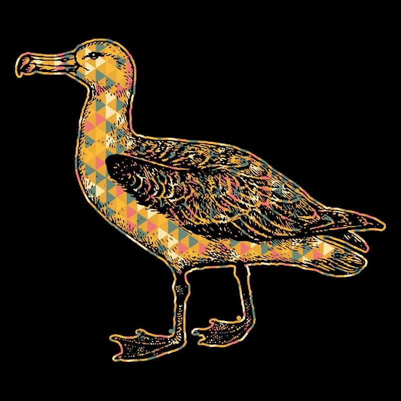 Albatross Geometric