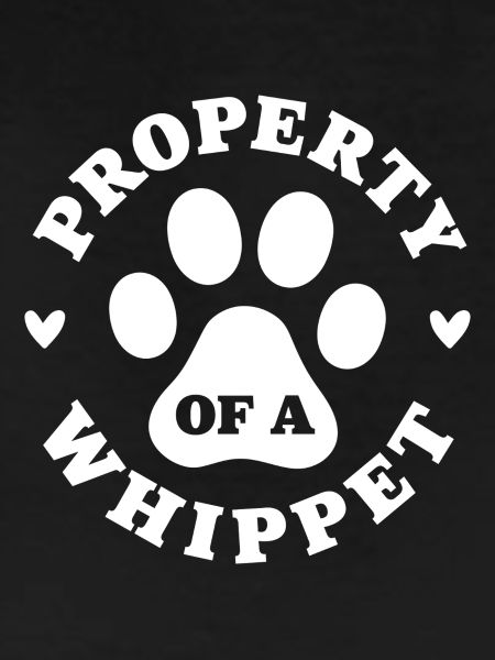 Eigentum eines Whippets