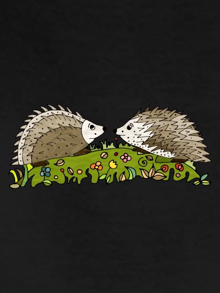 Hedgehogs