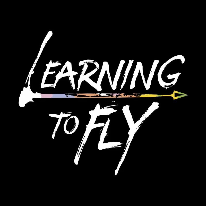 Learning to fly Flying Airplane Pilot Flyer