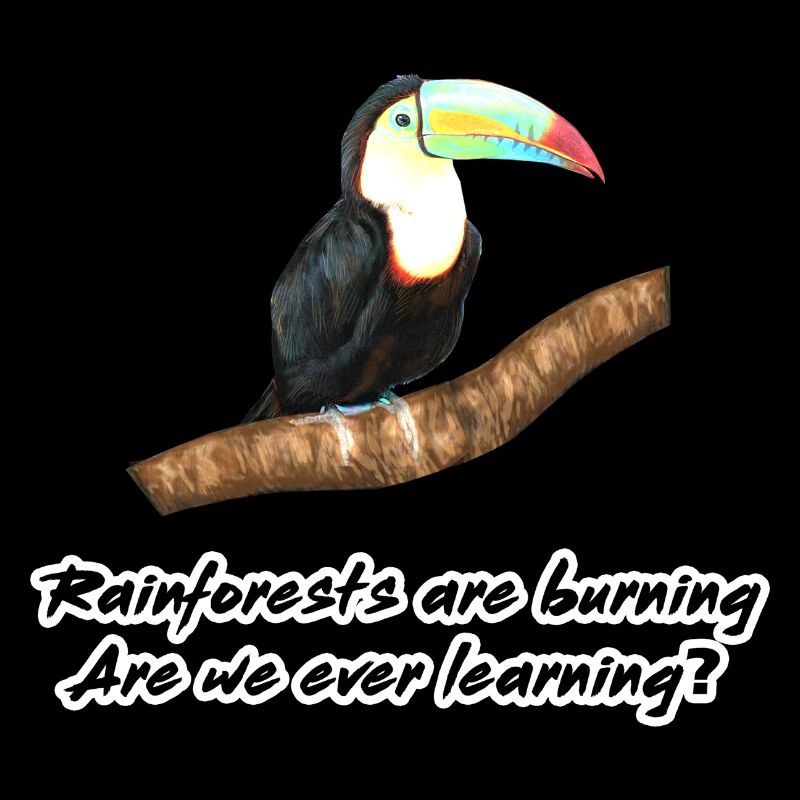 Rainforests are burning