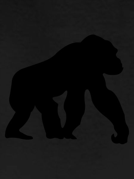 monkey