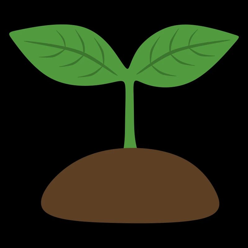 Seedling