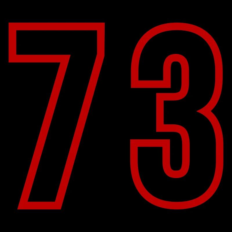 73 Number Years Jersey