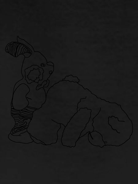 Teddy Bear Bunny