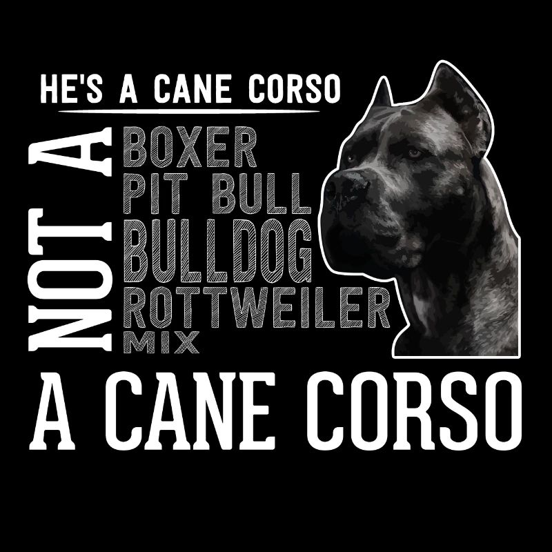 Chien Cane Corso race cadeau chiot chien