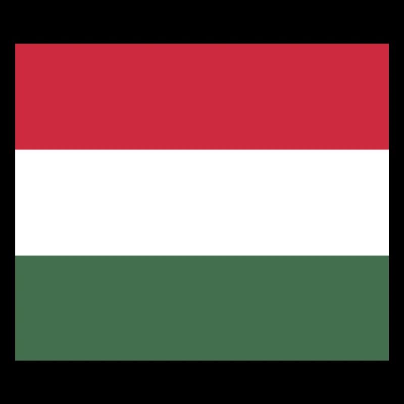 Hungary flag mask