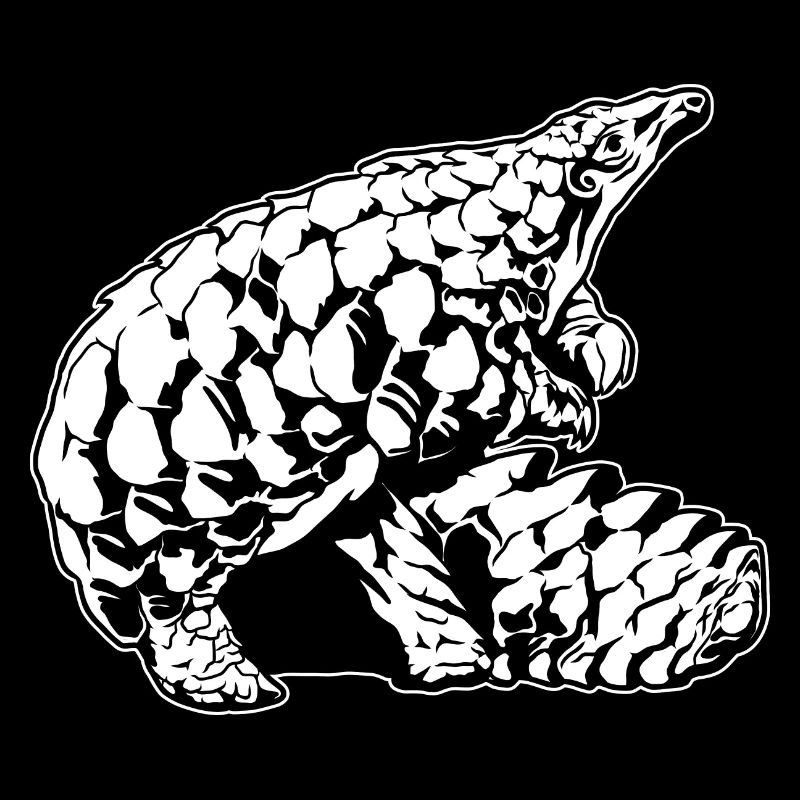 Cool Pangolin Sketch Graphic Wildlife Creature