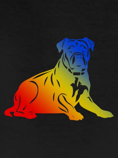 Pit Terrier Dog