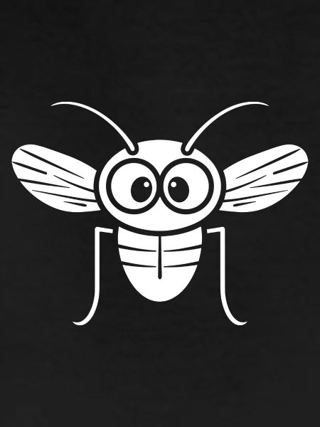Fly
