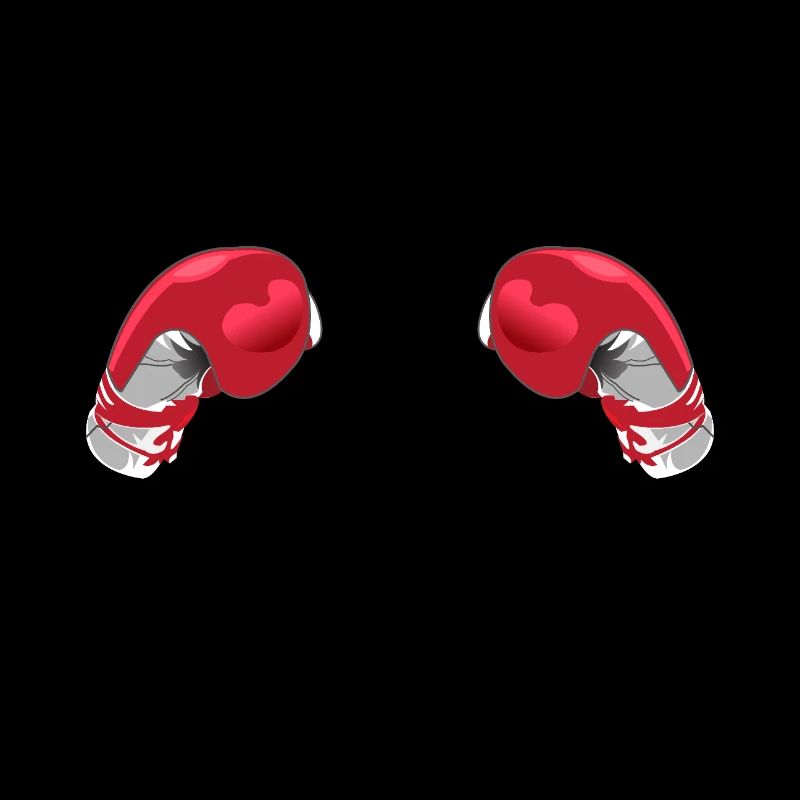 Zukunft Boxer