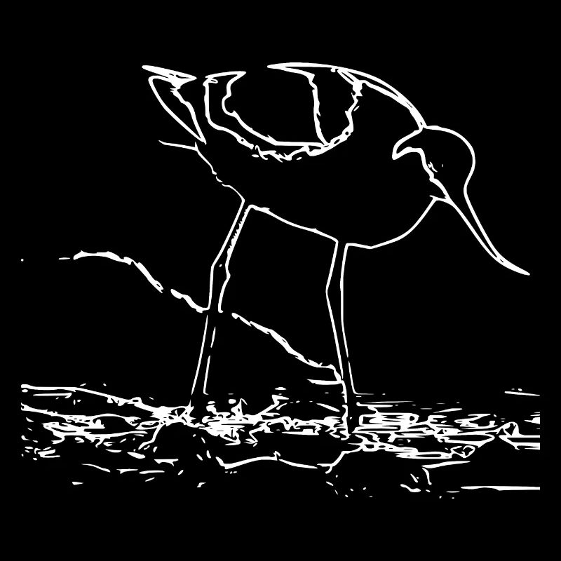 Avocets