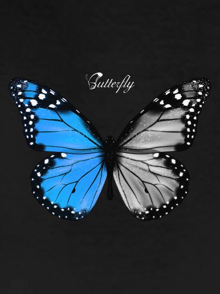 Battery Graphic