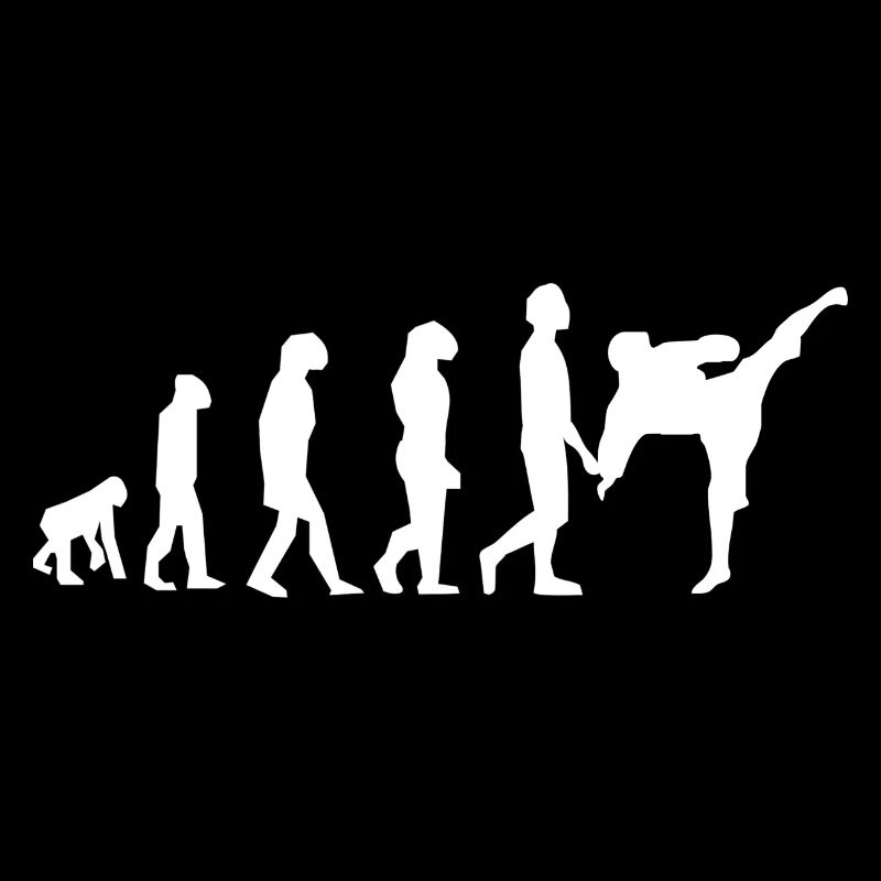 Art martiaux évolution