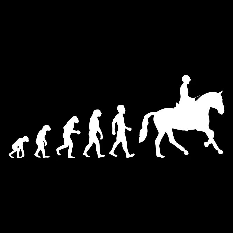 Evolution équitation