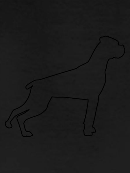 Boxer Contours 1