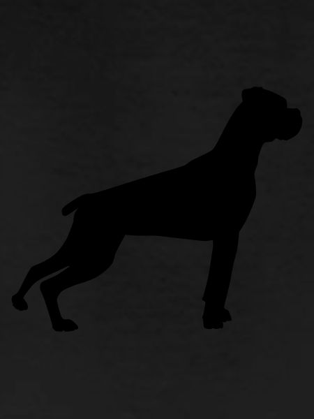 Boxer Silhouette 1