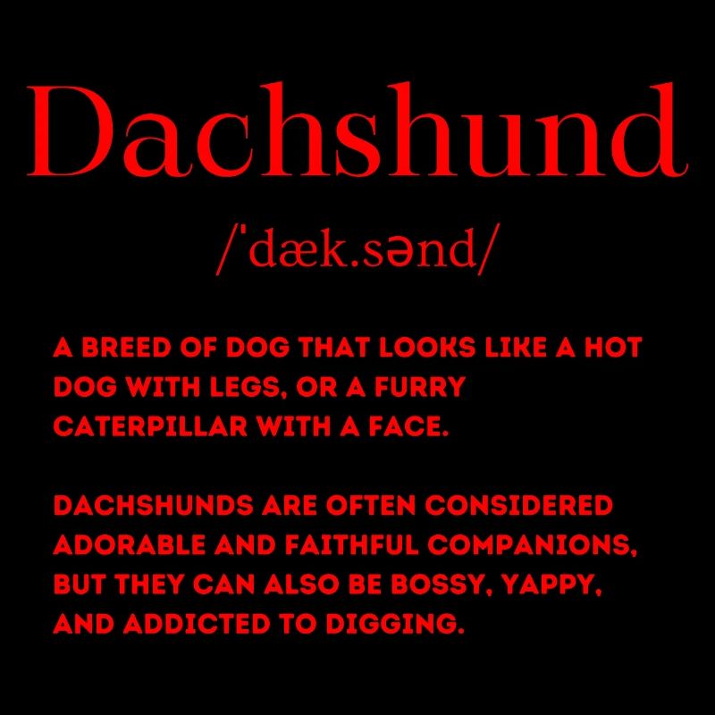 Dachshund Definition