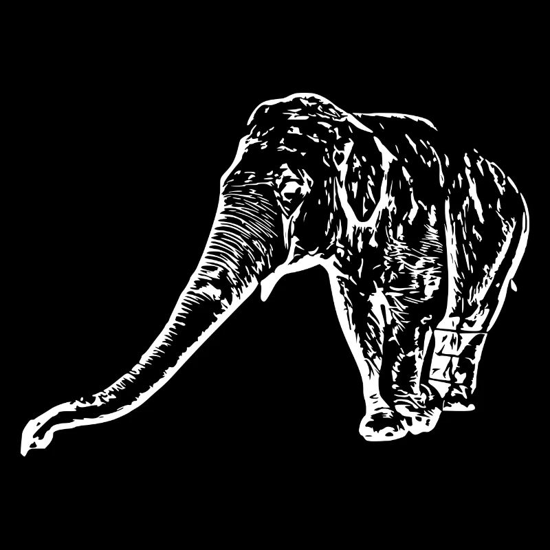 Blanc éléphant