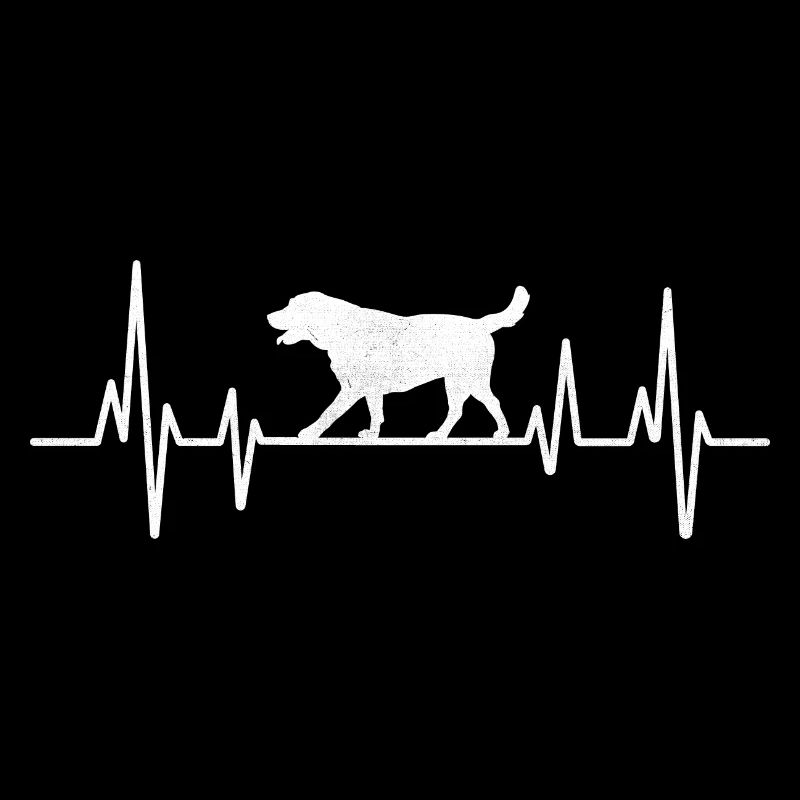 Hearbeat Labrador Retriever Chien de laboratoire Retrievers