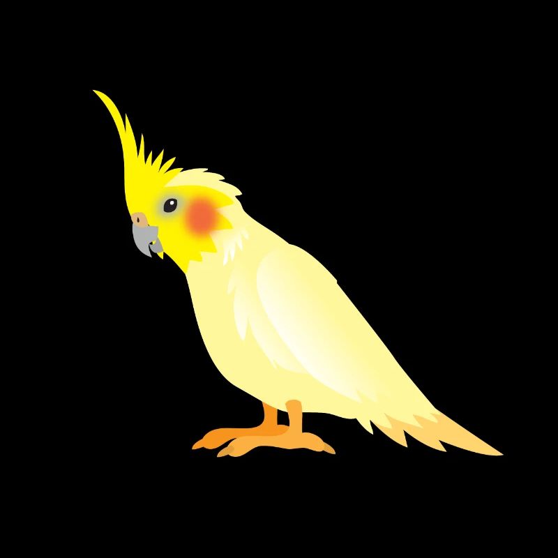 Realistic yellow cockatiel with red cheeks