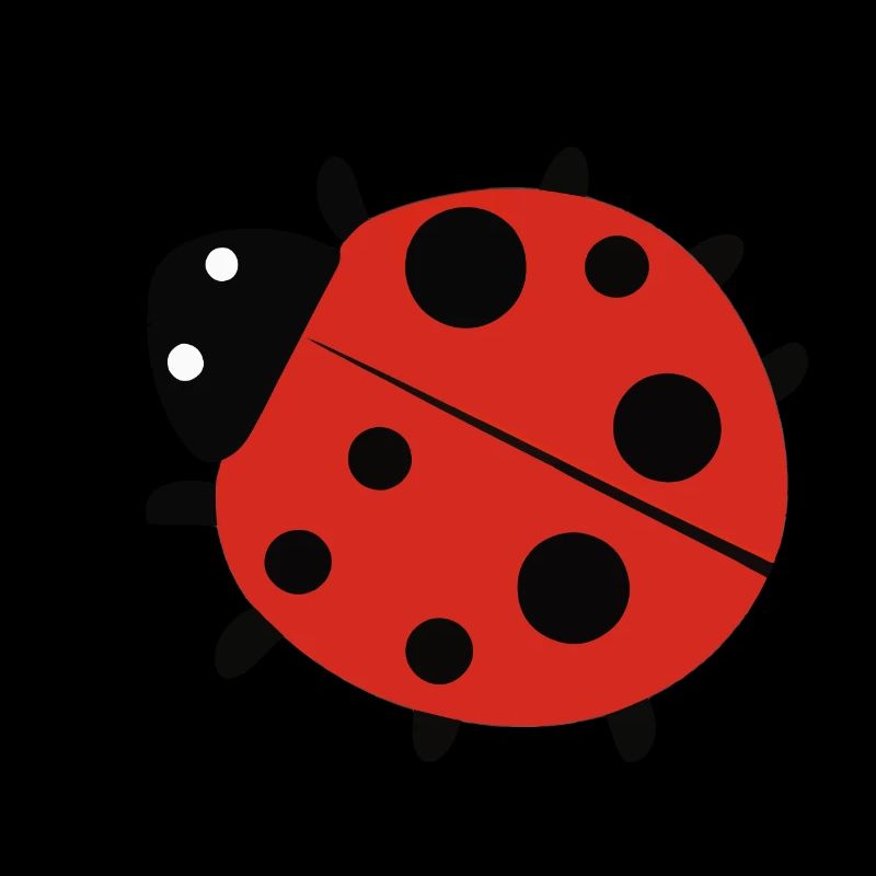 Marienkäfer Glück Glücksbringer Geschenk