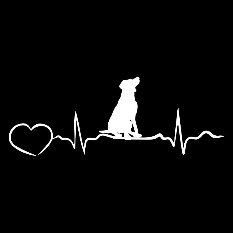Chien Hund