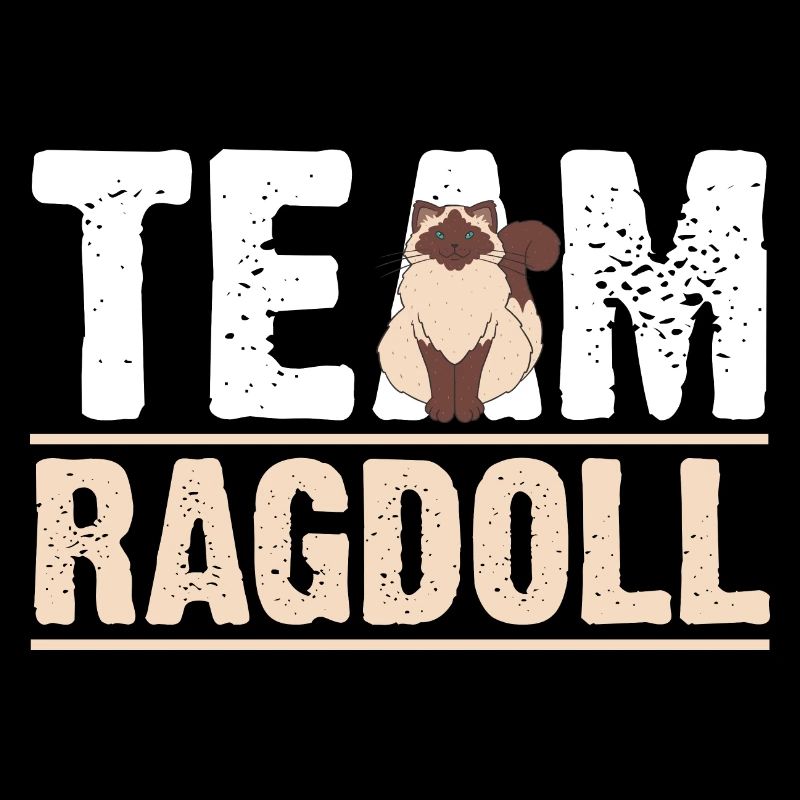 Ragdoll Cat Cat