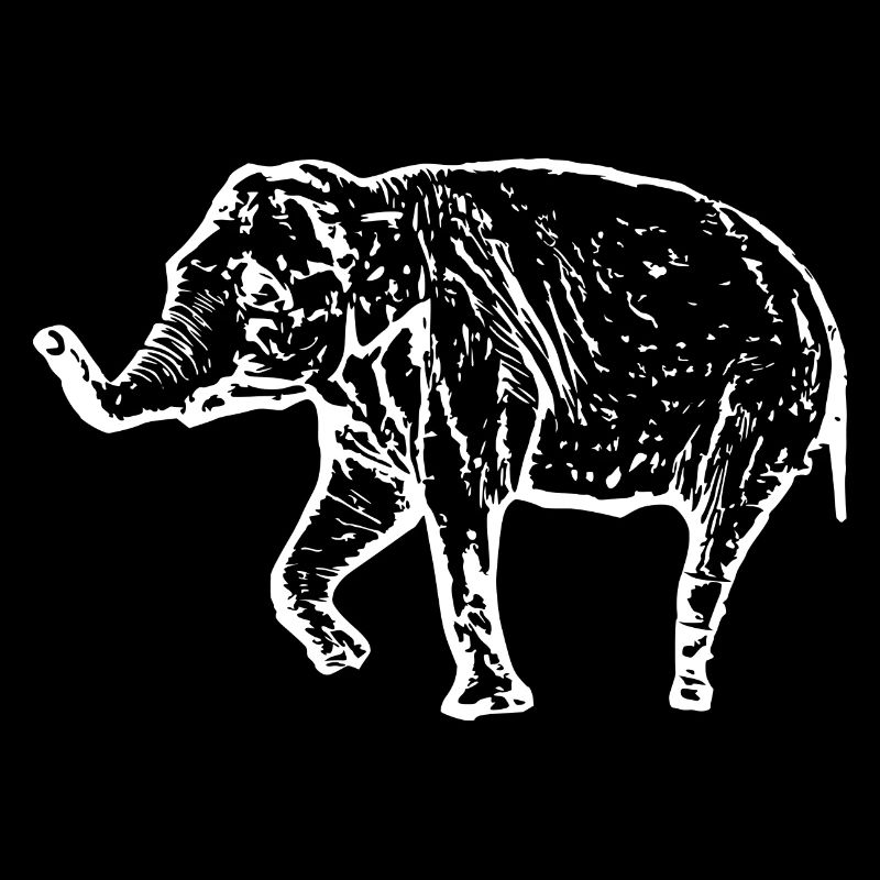 Elefant weiß