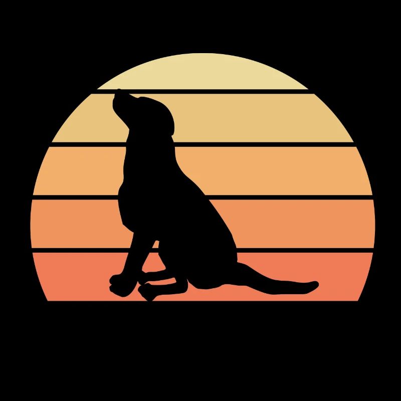 Chien Hund