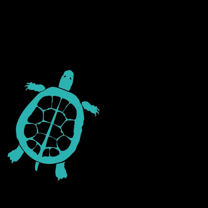 Turtle 2