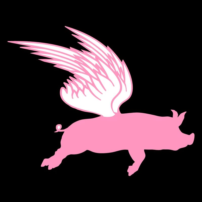 When Flying Wings Flying Pigs Can Fly