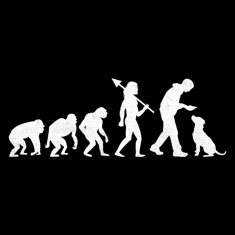 Retro Evolution Labrador Retriever Lab Hunde Apportieren