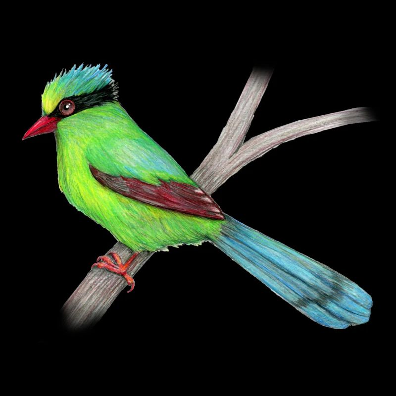 Dessin vert de crayon de pie