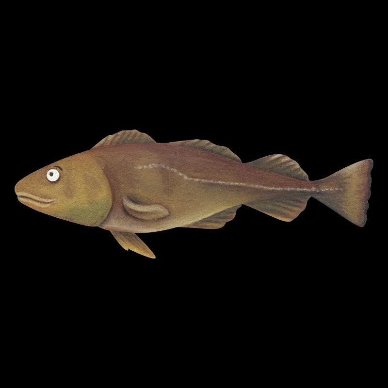 Cod