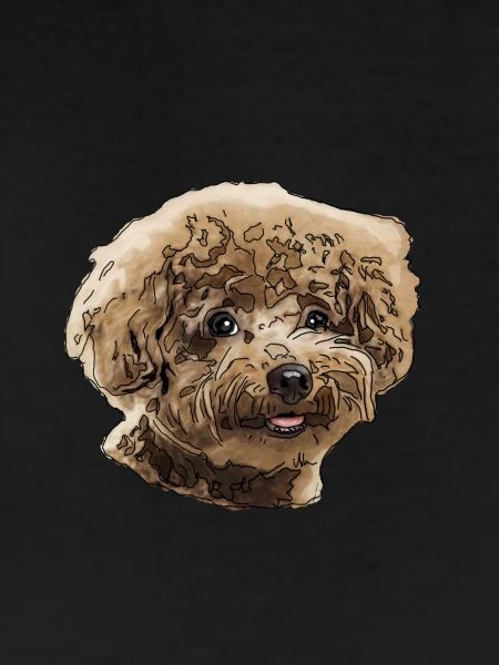 Poodle