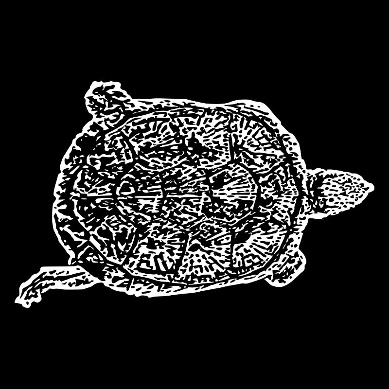 Turtle Turtles