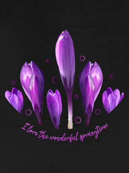 Crocuses Crocus