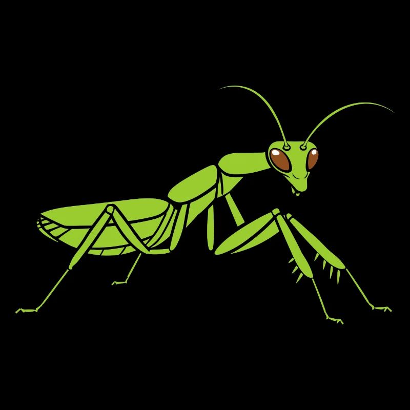 Praying mantis