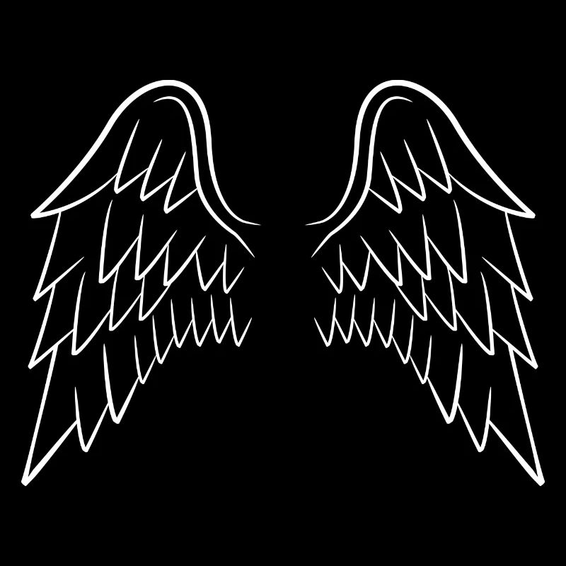 Les ailes de l’ange blanc