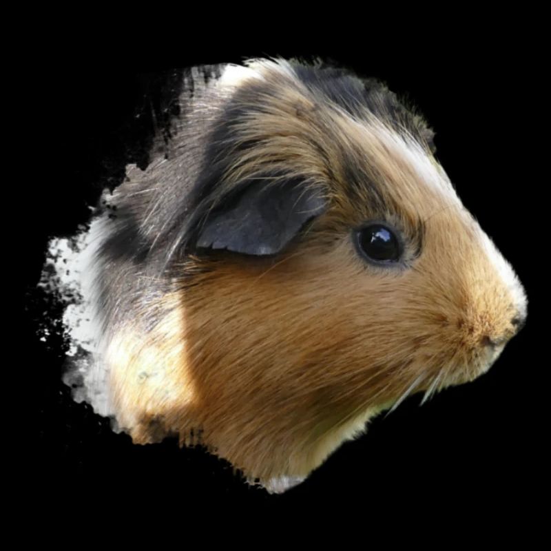 Cochon d’Inde Animal mignon Rongeur Cochon animal Cochon