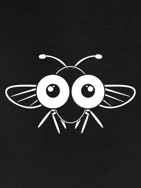 Fly