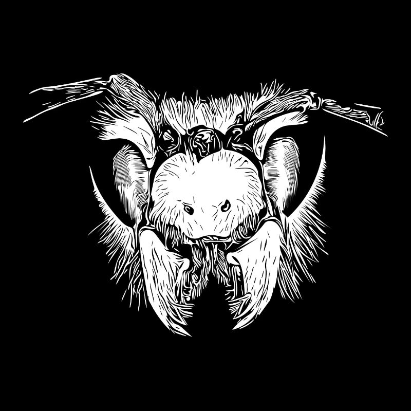 Insecte - Guêpe - Abeille